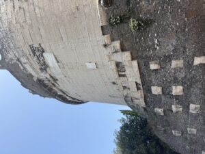 IMG_8173