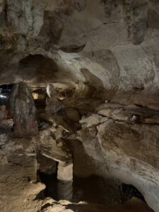 ucave