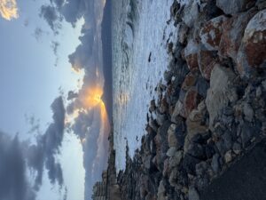 IMG_3381